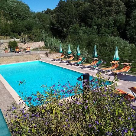 Borgo Di Alica Villa Palaia Dış mekan fotoğraf